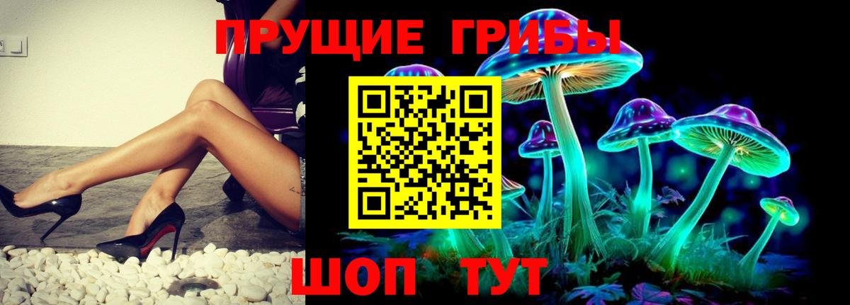 Галлюциногенные грибы MAGIC MUSHROOMS  Вход с VPN  Новоалтайск 
